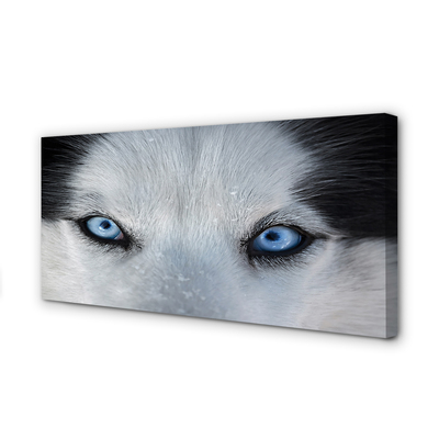 Stampa quadro su tela Eyes Wolf