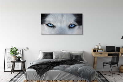 Stampa quadro su tela Eyes Wolf