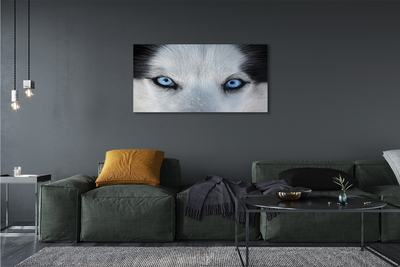 Stampa quadro su tela Eyes Wolf