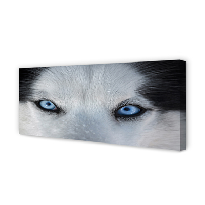 Stampa quadro su tela Eyes Wolf