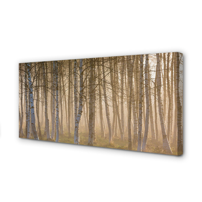 Quadro su tela Foresta dell'alba dell'albero