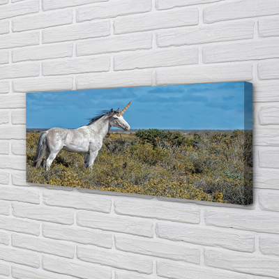 Quadro su tela Campo unicorno