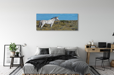 Quadro su tela Campo unicorno