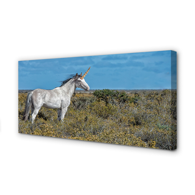 Quadro su tela Campo unicorno