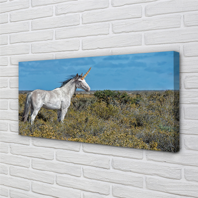 Quadro su tela Campo unicorno