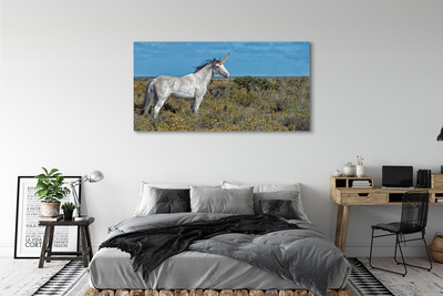 Quadro su tela Campo unicorno