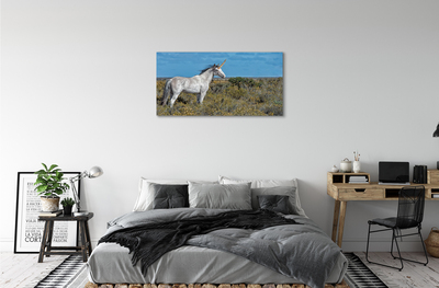 Quadro su tela Campo unicorno