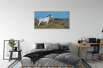 Quadro su tela Campo unicorno