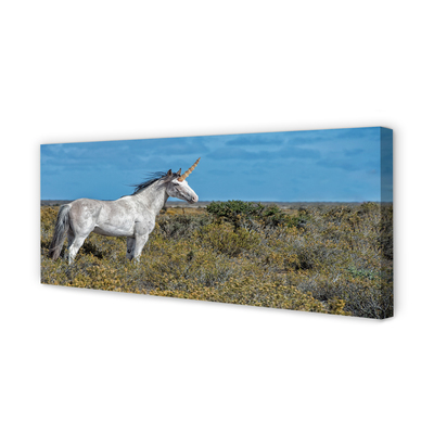 Quadro su tela Campo unicorno