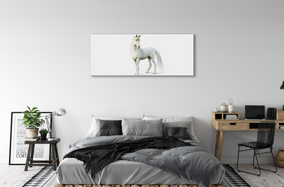 Quadro su tela Unicorno bianco