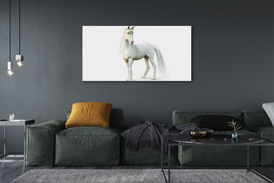 Quadro su tela Unicorno bianco