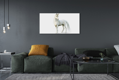 Quadro su tela Unicorno bianco