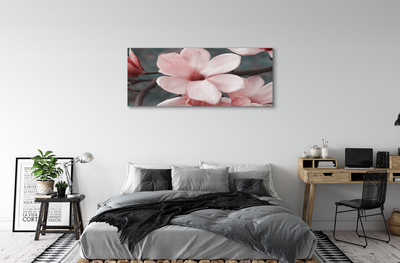 Quadro su tela Fiori rosa