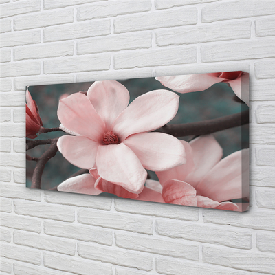 Quadro su tela Fiori rosa