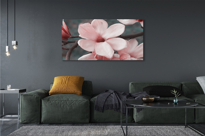 Quadro su tela Fiori rosa