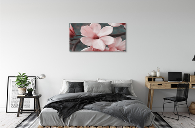 Quadro su tela Fiori rosa