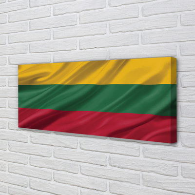 Quadro su tela Bandiera lituana
