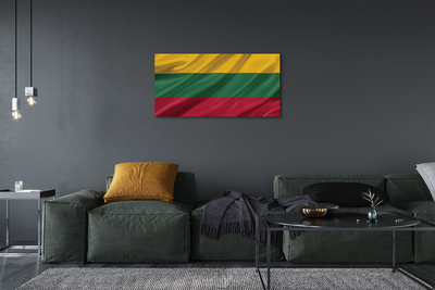 Quadro su tela Bandiera lituana
