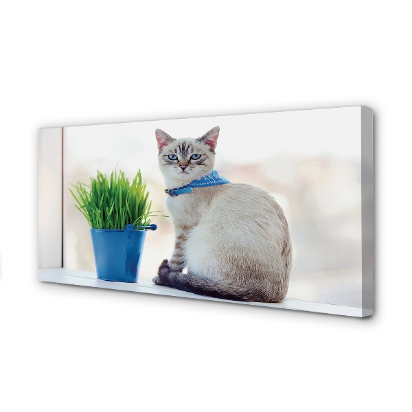 Foto quadro su tela Sedute gatto