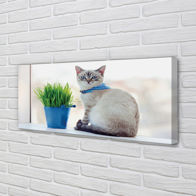 Foto quadro su tela Sedute gatto