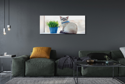 Foto quadro su tela Sedute gatto