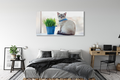 Foto quadro su tela Sedute gatto