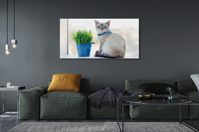 Foto quadro su tela Sedute gatto