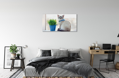 Foto quadro su tela Sedute gatto