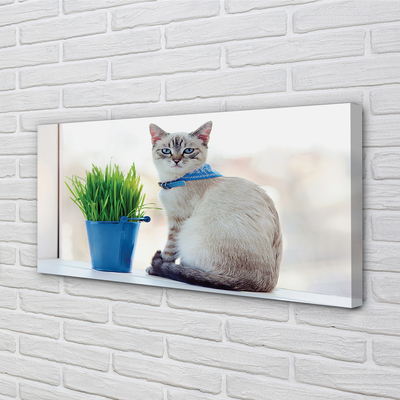 Foto quadro su tela Sedute gatto