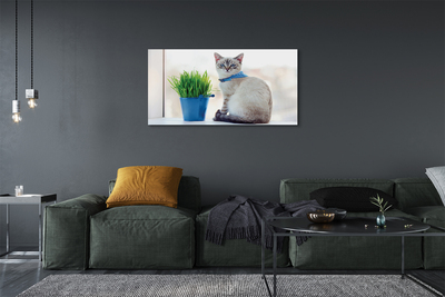 Foto quadro su tela Sedute gatto