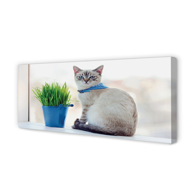 Foto quadro su tela Sedute gatto