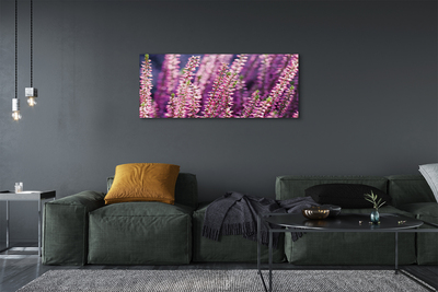 Quadro stampa su tela Fiori