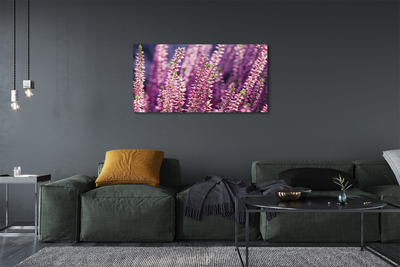 Quadro stampa su tela Fiori