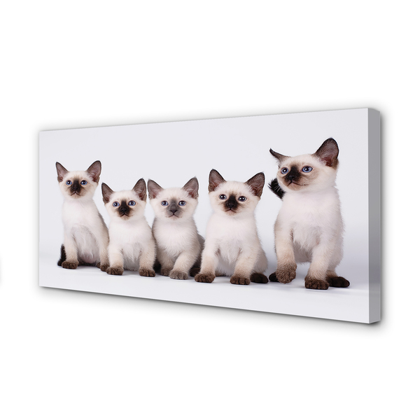 Quadro su tela Piccoli gatti