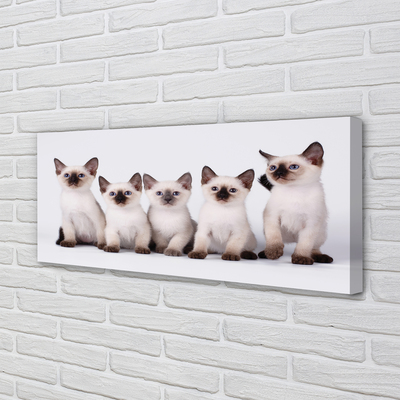 Quadro su tela Piccoli gatti