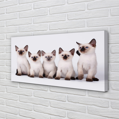 Quadro su tela Piccoli gatti