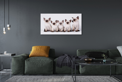 Quadro su tela Piccoli gatti