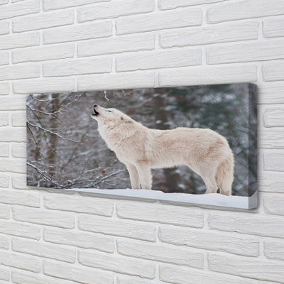 Quadro su tela Wolf Winter Forest