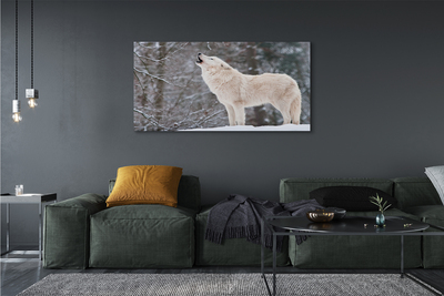 Quadro su tela Wolf Winter Forest