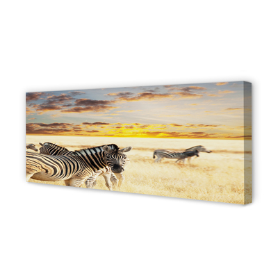 Quadro su tela Zebry Field Sunset