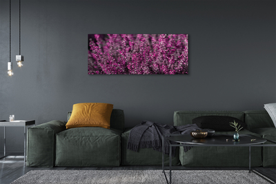 Quadro su tela Campo heather