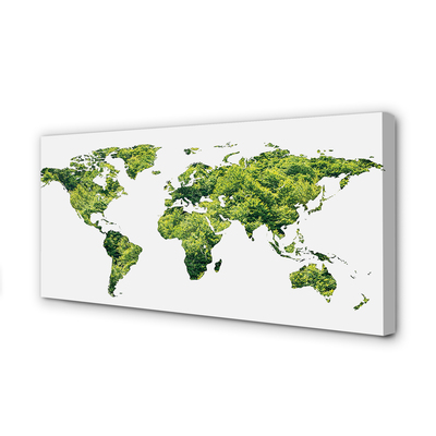 Quadro su tela Mappa di erba verde