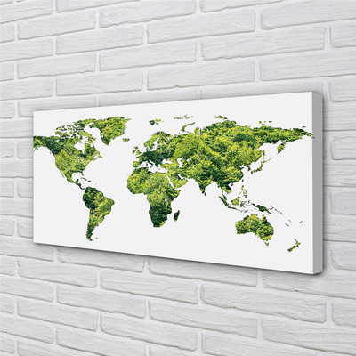 Quadro su tela Mappa di erba verde