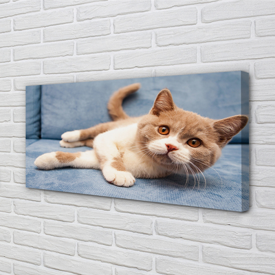 Quadro su tela Gatto bugiardo