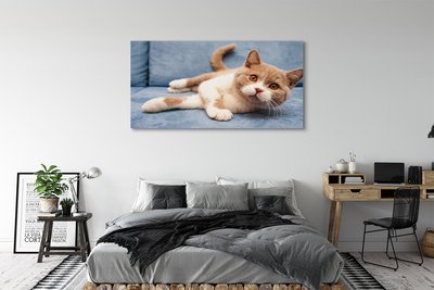 Quadro su tela Gatto bugiardo