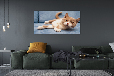 Quadro su tela Gatto bugiardo