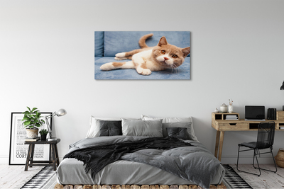 Quadro su tela Gatto bugiardo