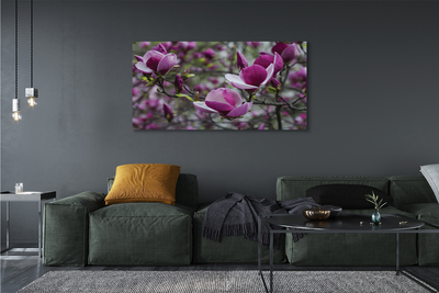 Quadro su tela Magnolia viola