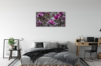 Quadro su tela Magnolia viola