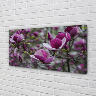 Quadro su tela Magnolia viola